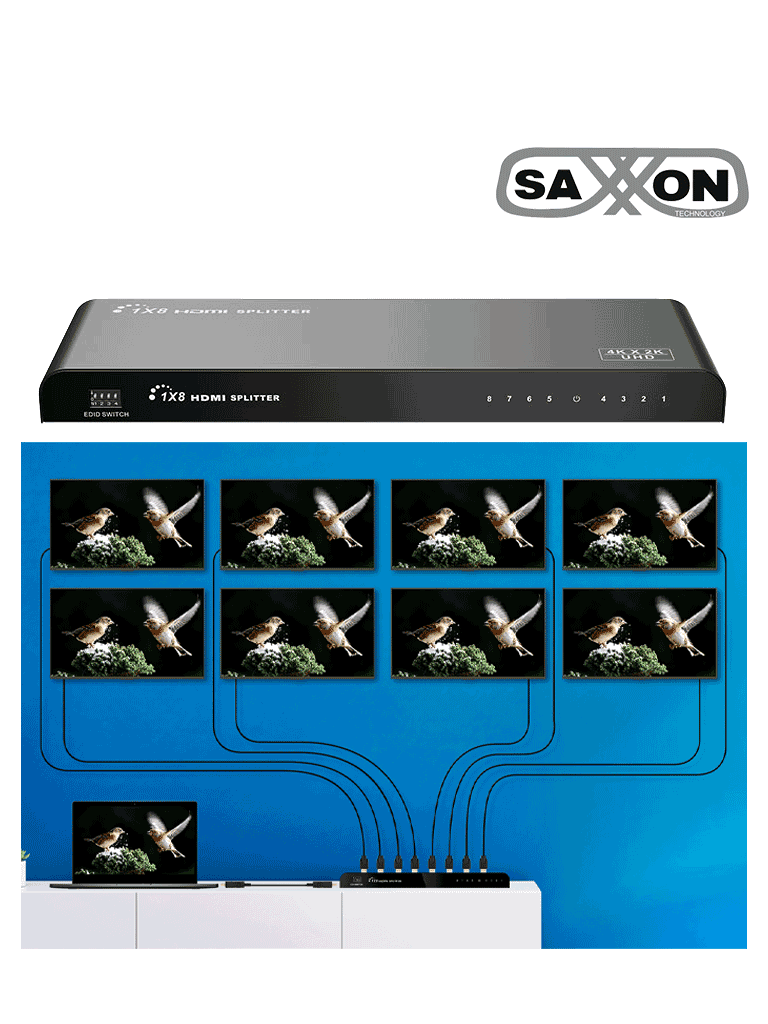 Divisor-HDMI-De1-Entrada-8-Salidas-4K-2KSwitch-EDID-Saxxon-LKV318HDR-V2-5